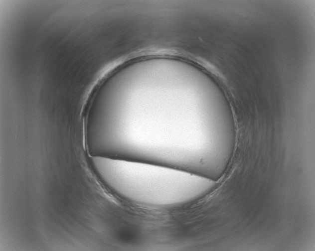 X0000065241223200602170946