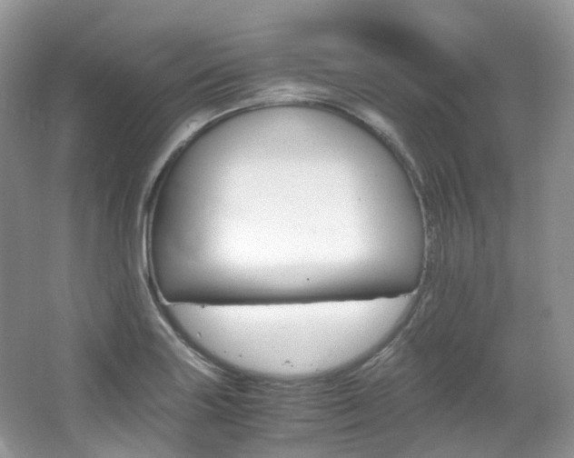 X0000065241227200602170946