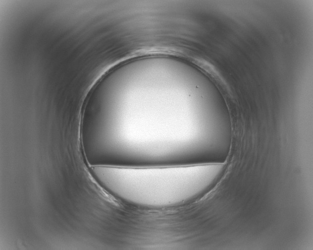X0000065241228200602170946