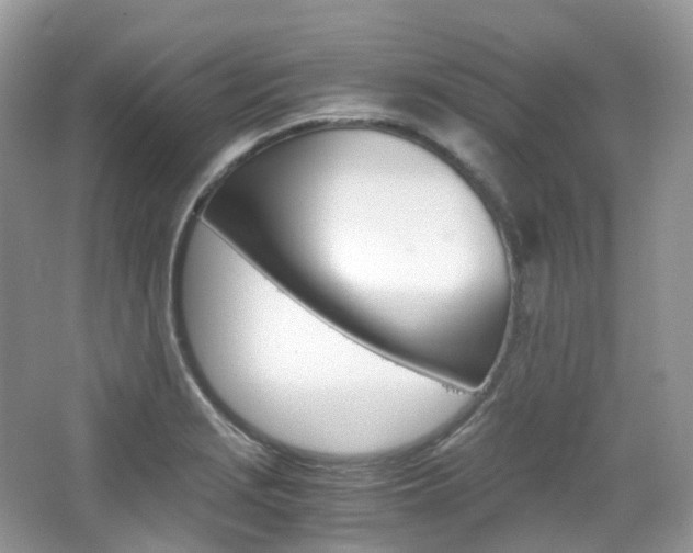 X0000065241229200602170946