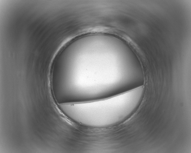 X0000065241232200602170946