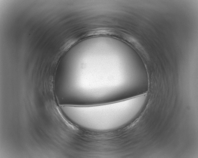 X0000065241233200602170946