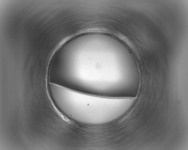 X0000065241237200602170946