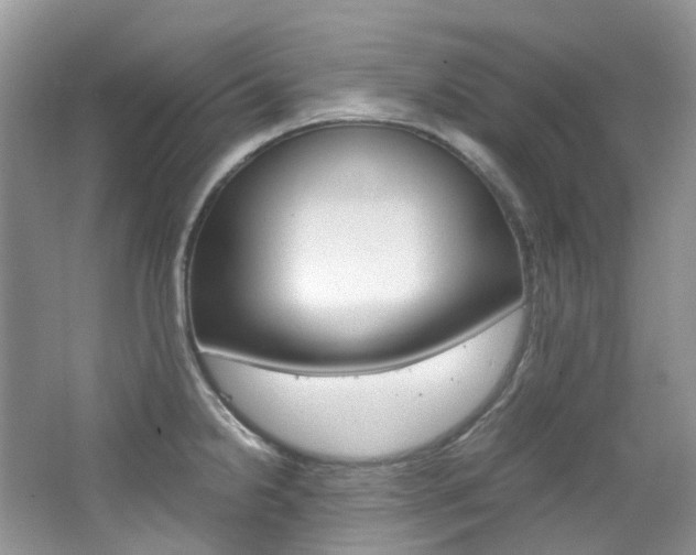 X0000065241238200602170946