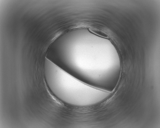 X0000065241241200602170946