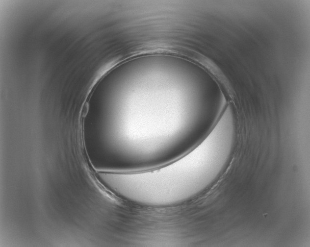 X0000065241242200602170946