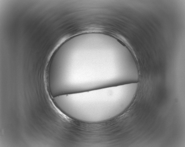 X0000065241243200602170946