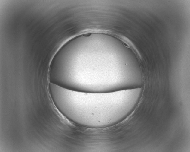 X0000065241244200602170946