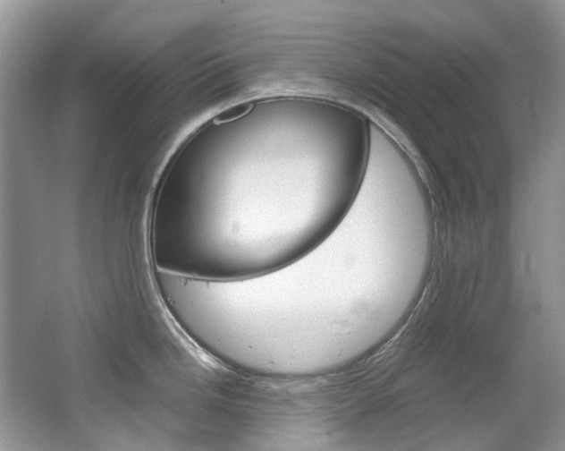 X0000065241246200602170946