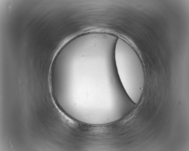 X0000065241247200602170946