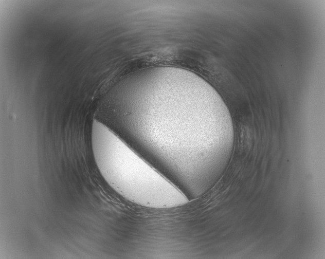 X0000065241250200602170945