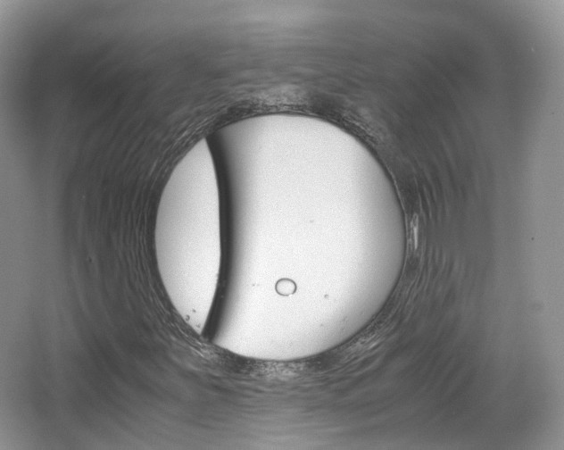 X0000065241251200602170945