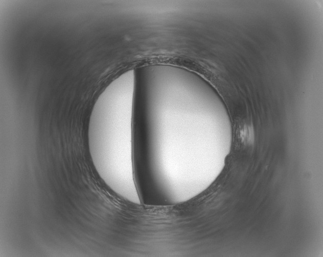 X0000065241252200602170945