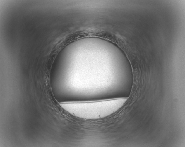 X0000065241253200602170945