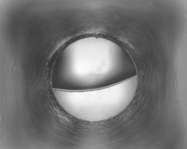 X0000065241256200602170945