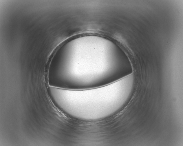 X0000065241260200602170945