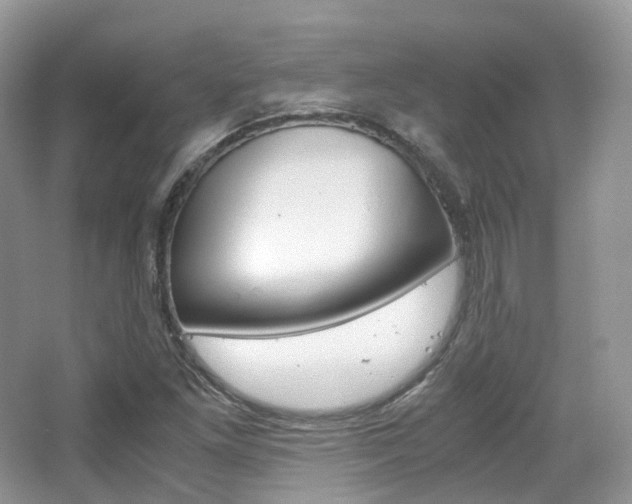 X0000065241261200602170945