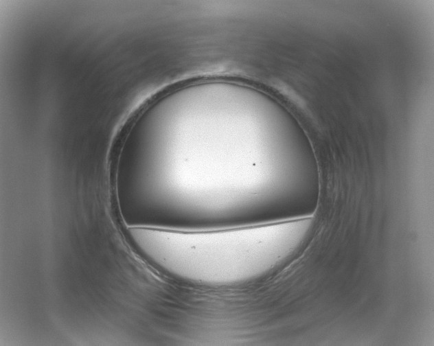 X0000065241270200602170945