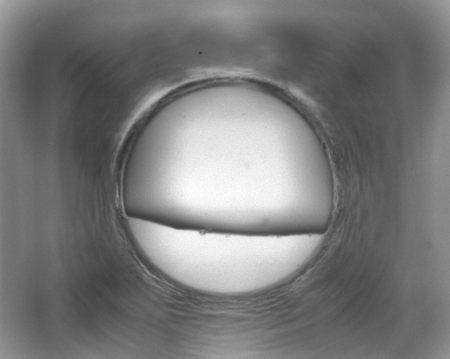 X0000065241271200602170945