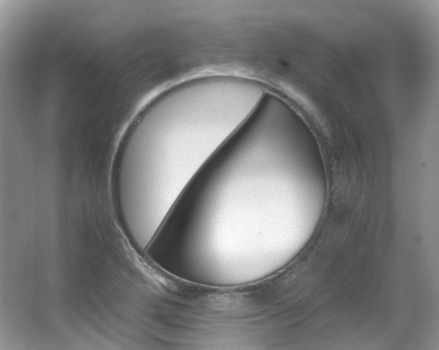 X0000065241272200602170945