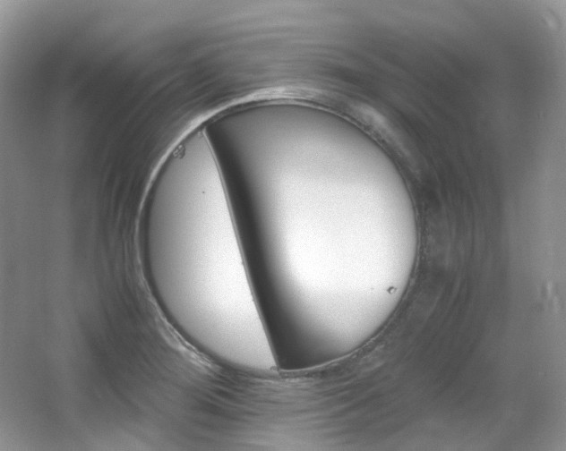 X0000065241276200602170945
