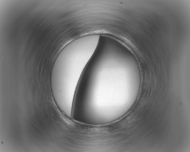 X0000065241281200602170945