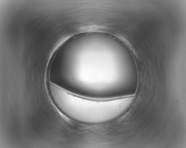 X0000065241285200602170945
