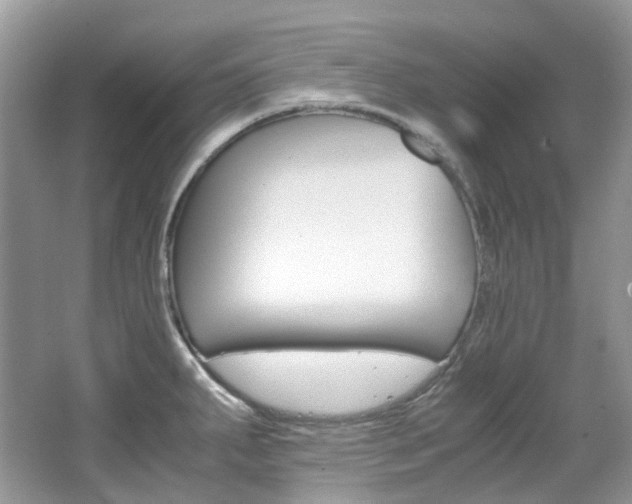 X0000065241287200602170944
