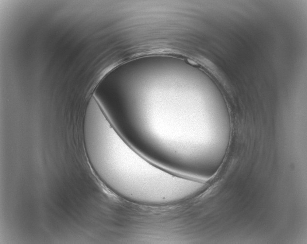 X0000065241289200602170944