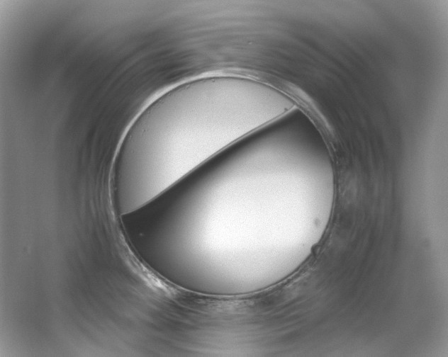 X0000065241292200602170944