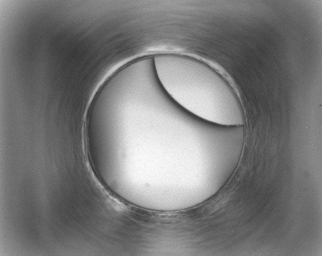 X0000065241295200602170944