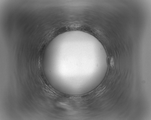 X0000065241299200602170944