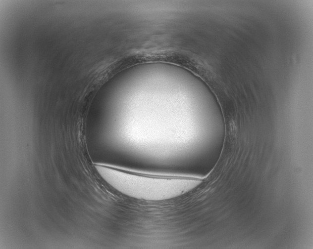 X0000065241300200602170944