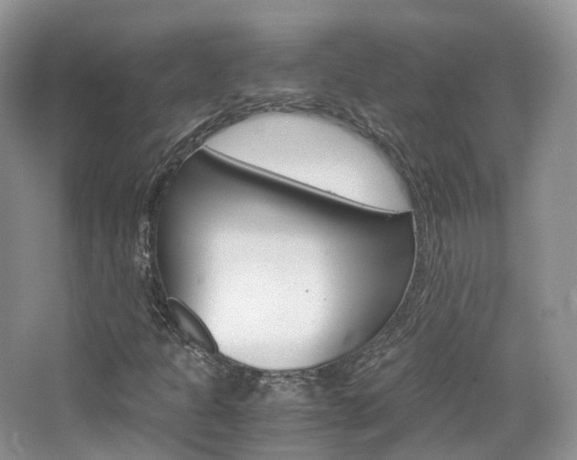 X0000065241301200602170944