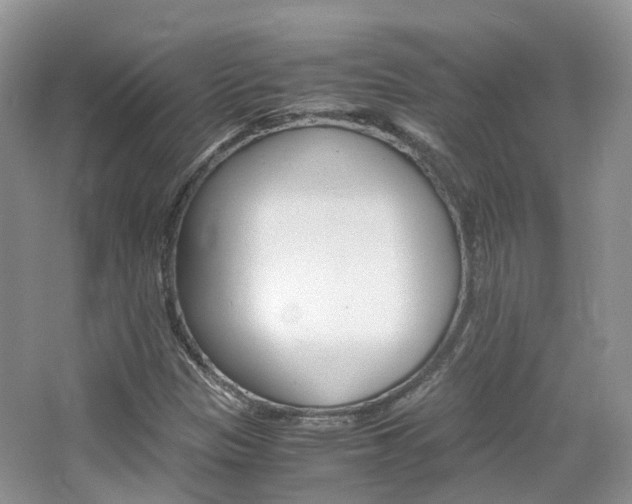 X0000065241305200602170944