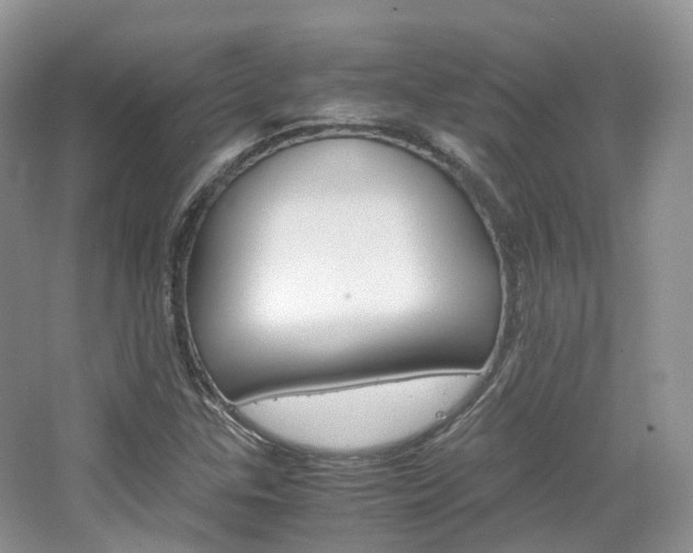 X0000065241307200602170944