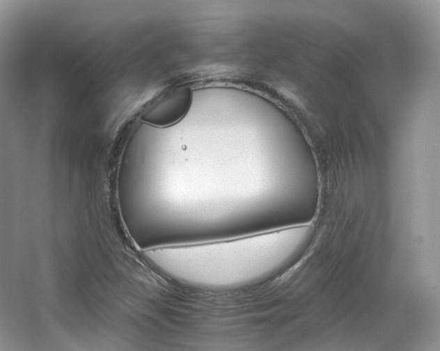 X0000065241309200602170944