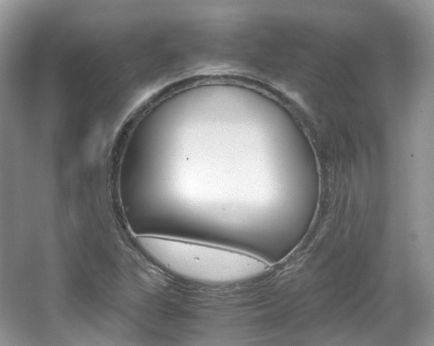 X0000065241311200602170944