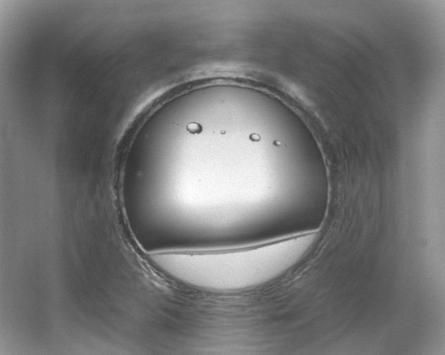 X0000065241312200602170944
