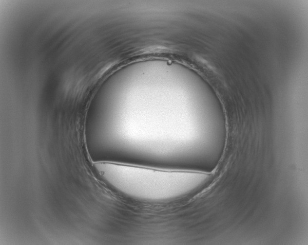 X0000065241313200602170944