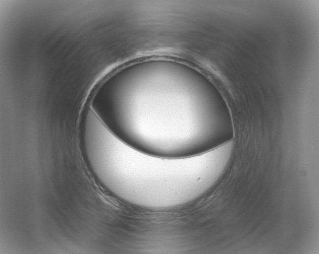 X0000065241316200602170944