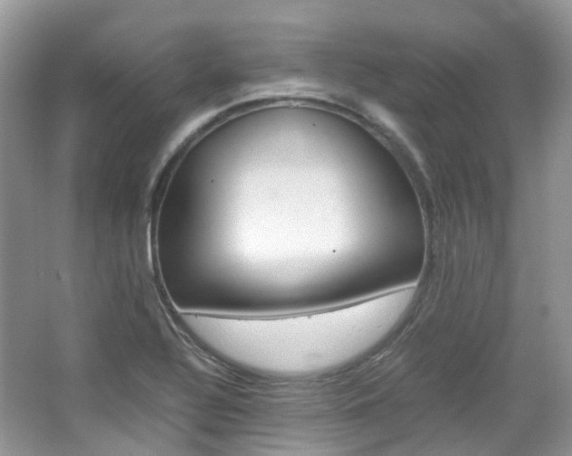 X0000065241320200602170944