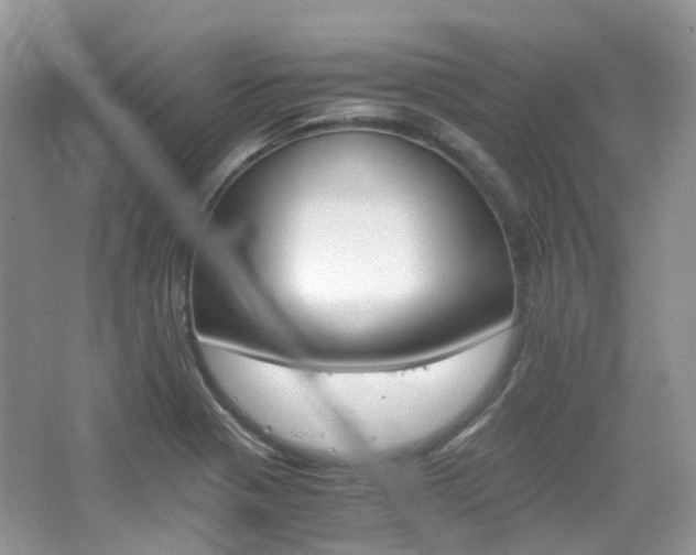 X0000065241321200602170944