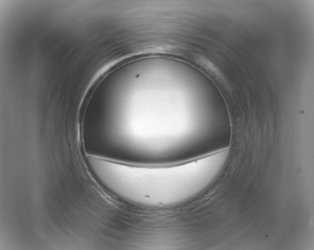 X0000065241324200602170944