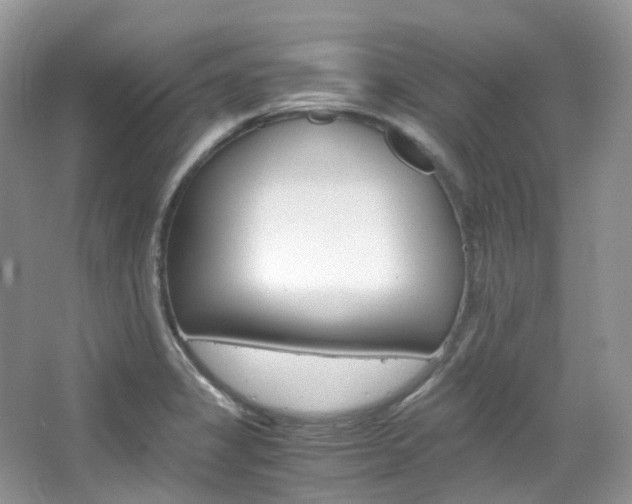 X0000065241325200602170944