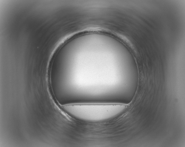 X0000065241327200602170944