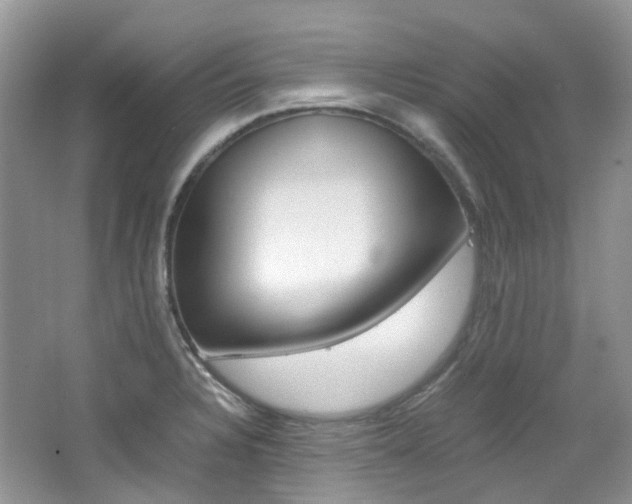 X0000065241328200602170944