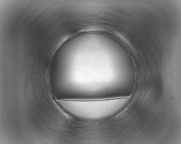 X0000065241329200602170944