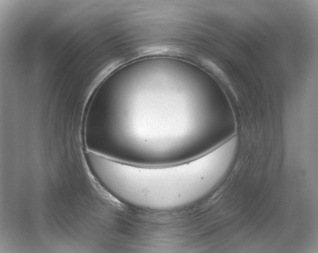X0000065241330200602170944