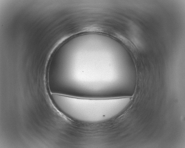 X0000065241331200602170944